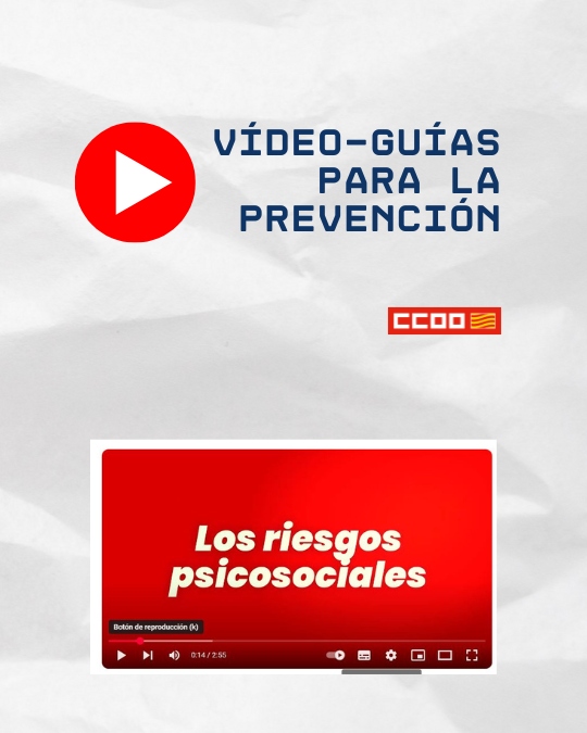 Los riesgos psicosociales. Vídeo-guías para la prevención VG nº 04. CCOO Aragón 2025. Los riesgos psicosociales. Vídeo-guías para la prevención VG nº 04. CCOO Aragón 2025.